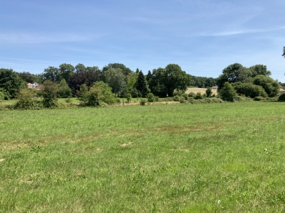 Terrain limousin