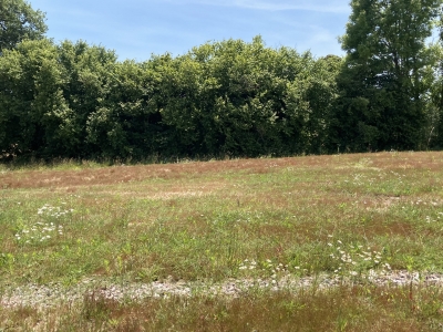 Terrain haute-vienne